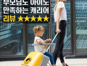 삶의질 상승템 타는캐리어 추천 구매가이드 (Top8 리뷰) 삶의질 상승템 타는캐리어 추천 구매가이드 (Top8 리뷰)