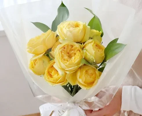 삶의질 상승템 장미꽃다발 합리적 가격 베스트8 상품