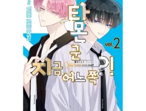 가격 대비 가장 좋은 타몬군지금어느쪽 꼼꼼한 후기 가격 대비 가장 좋은 타몬군지금어느쪽 꼼꼼한 후기