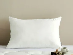 리뷰가 검증한 모던하우스베개솜 별점 5점 제품 리뷰가 검증한 모던하우스베개솜 별점 5점 제품