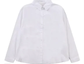 가성비 최고의 반에이크 사용 후기
