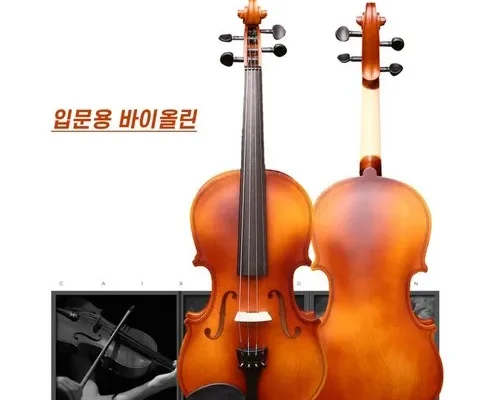 인스타에서 추천받은 하이원스키레슨 사용 후기
