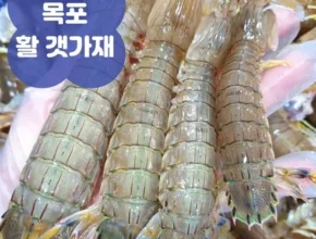 가성비 최고의 미니가재 합리적인 가격 추천 best8 가성비 최고의 미니가재 합리적인 가격 추천 best8