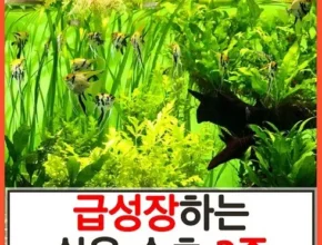 전문가가 알려주는 꿀템 수초 추천 아이템 Top 8 순위표