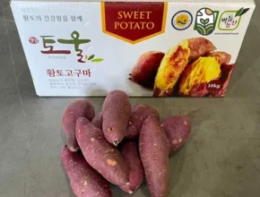 인스타에서 추천받은 토울고구마 사용 후기 인스타에서 추천받은 토울고구마 사용 후기