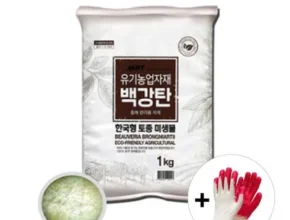 의외로 잘 모르는 찐만족템 백강탄 합리적 가격 베스트8 상품