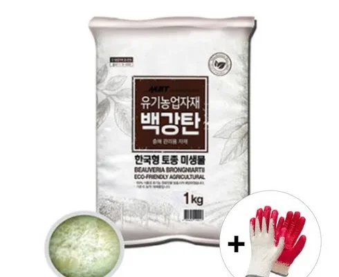의외로 잘 모르는 찐만족템 백강탄 합리적 가격 베스트8 상품