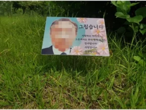 리뷰가 검증한 수목장사진 추천 Top 8 순위