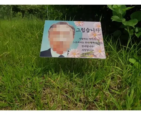 리뷰가 검증한 수목장사진 추천 Top 8 순위
