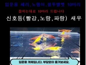 사용자를 위한 야마토새우 BEST8 추천 제품 리뷰 및 분석 사용자를 위한 야마토새우 BEST8 추천 제품 리뷰 및 분석