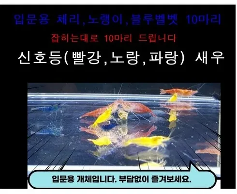 사용자를 위한 야마토새우 BEST8 추천 제품 리뷰 및 분석